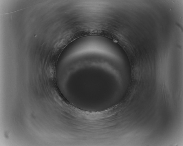 X0000101690039200807101523