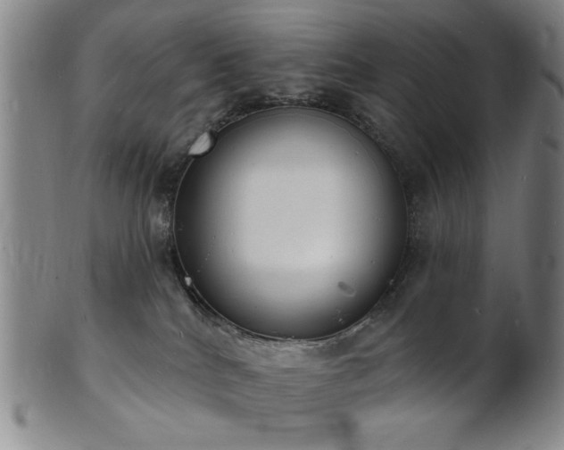 X0000101690040200807101523