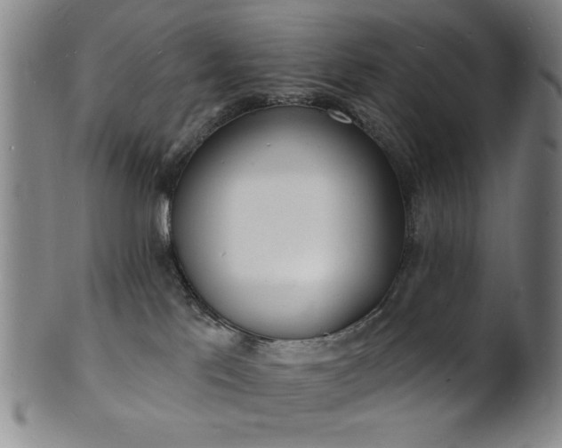 X0000101690041200807101523