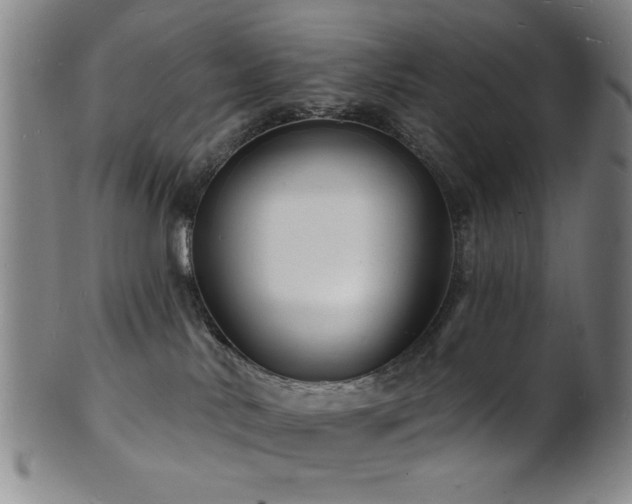 X0000101690042200807101523