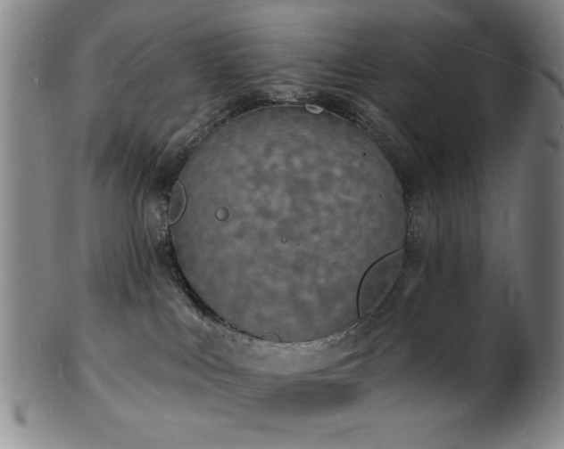 X0000101690043200807101523