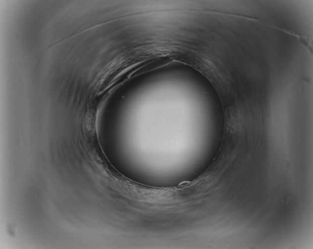 X0000101690044200807101523