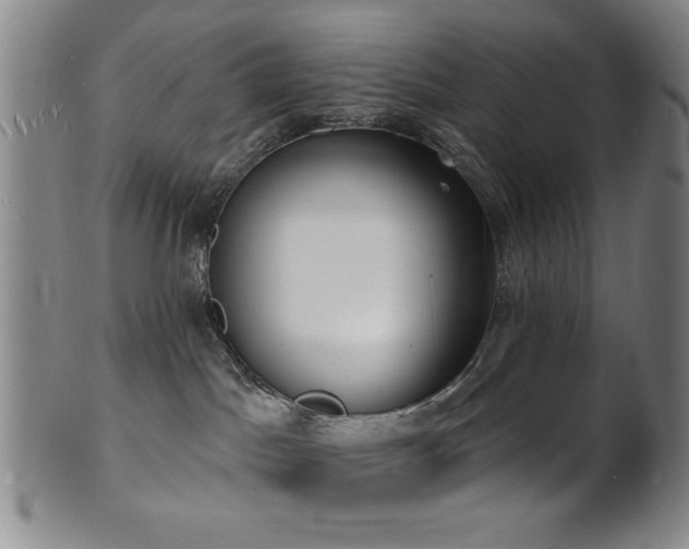 X0000101690045200807101523