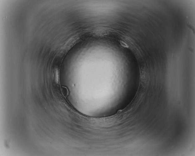 X0000101690046200807101523