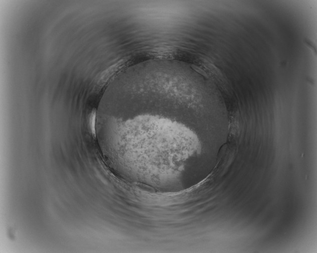 X0000101690047200807101523