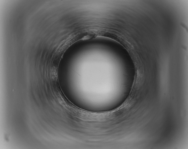 X0000101690048200807101523