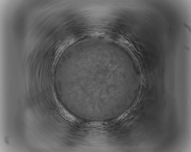 X0000101690049200807101523