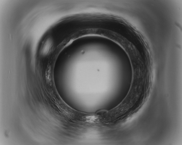 X0000101690050200807101523