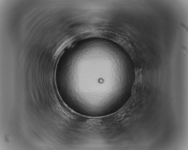 X0000101690051200807101523