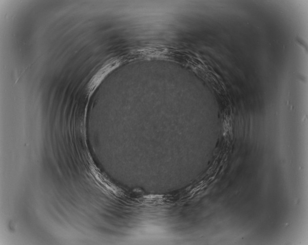 X0000101690052200807101523