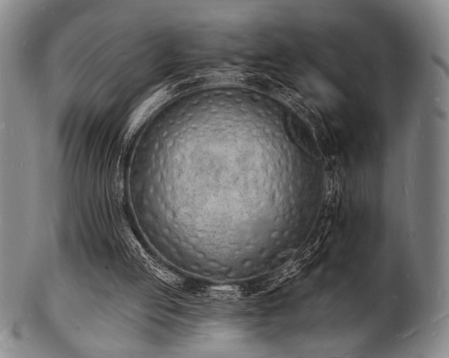 X0000101690053200807101523