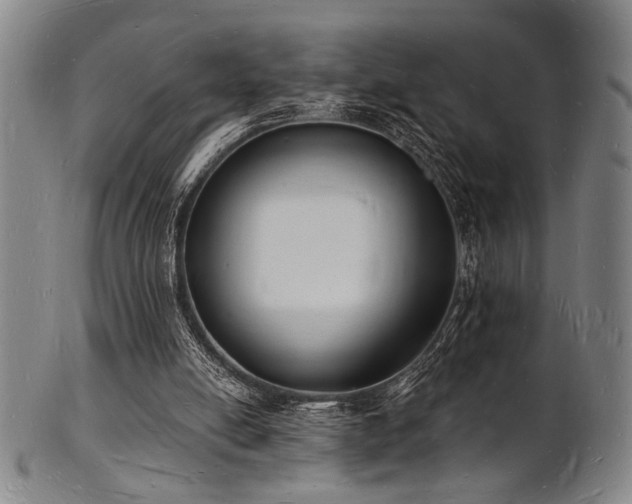 X0000101690054200807101523