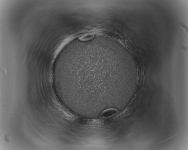 X0000101690056200807101523