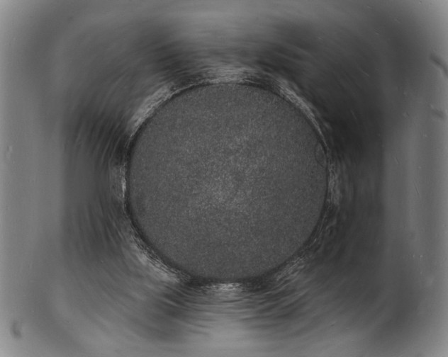 X0000101690059200807101523