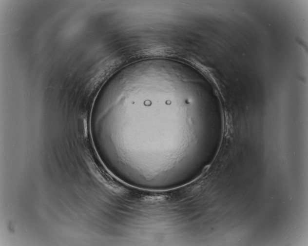 X0000101690061200807101523