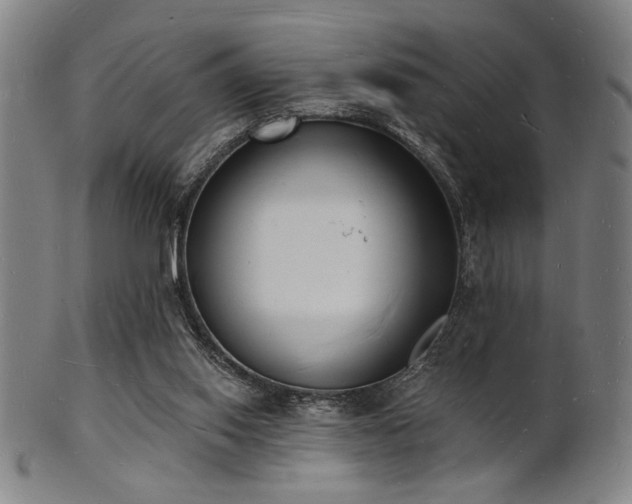 X0000101690062200807101523