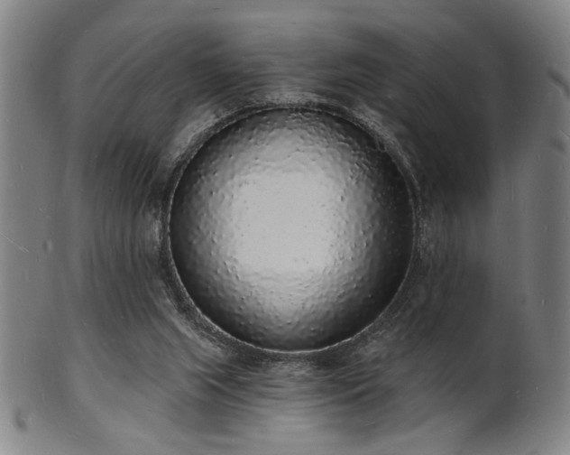 X0000101690063200807101523