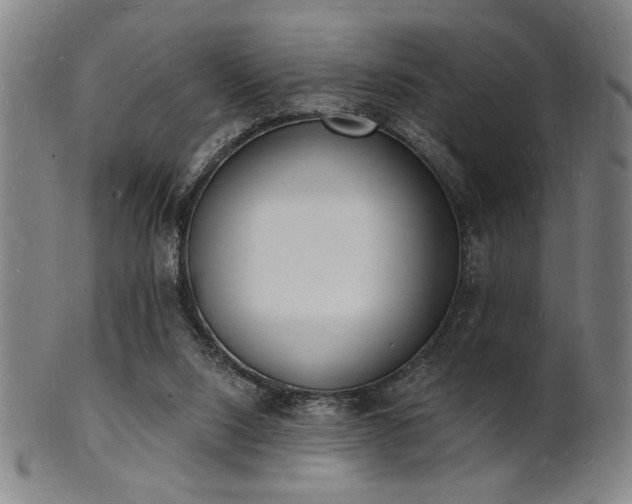 X0000101690064200807101523