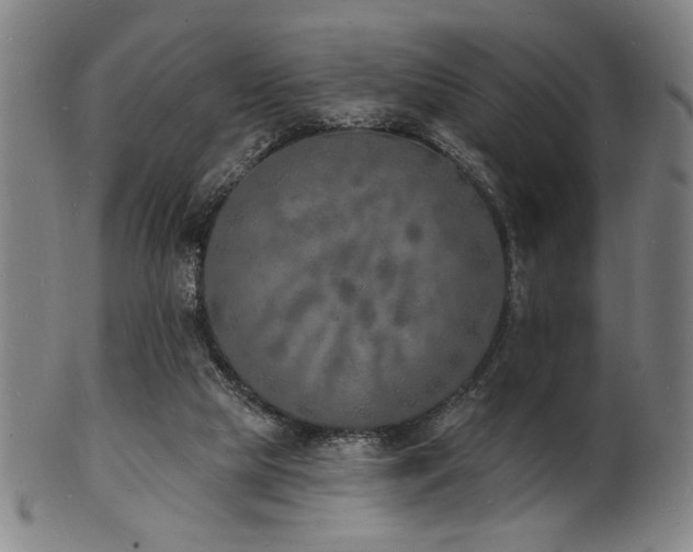 X0000101690065200807101523