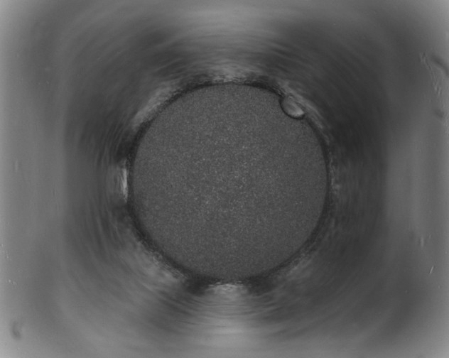 X0000101690067200807101523