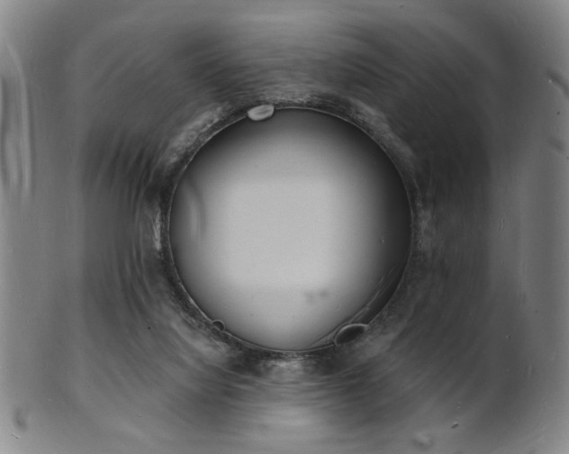 X0000101690068200807101523