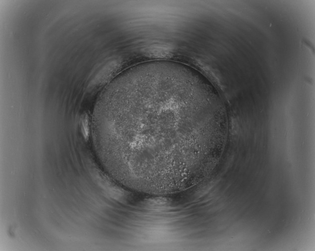 X0000101690069200807101523