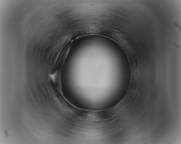 X0000101690070200807101523