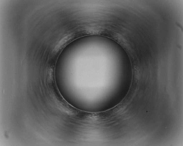 X0000101690071200807101523