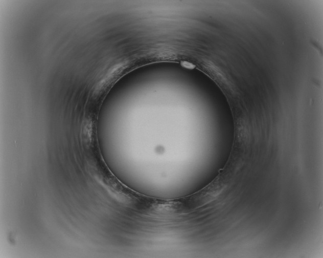 X0000101690072200807101523