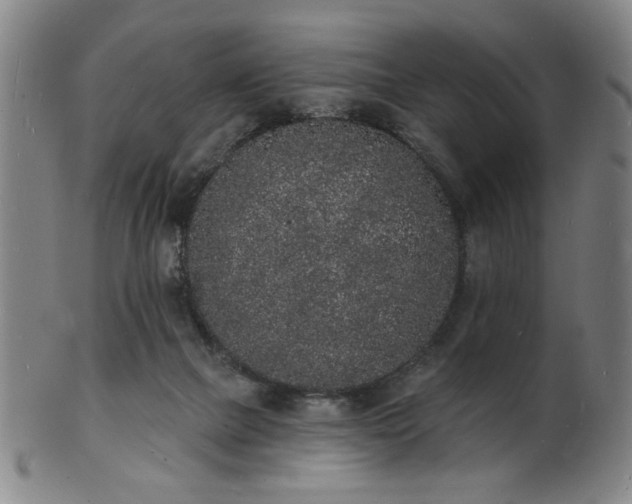 X0000101690073200807101523