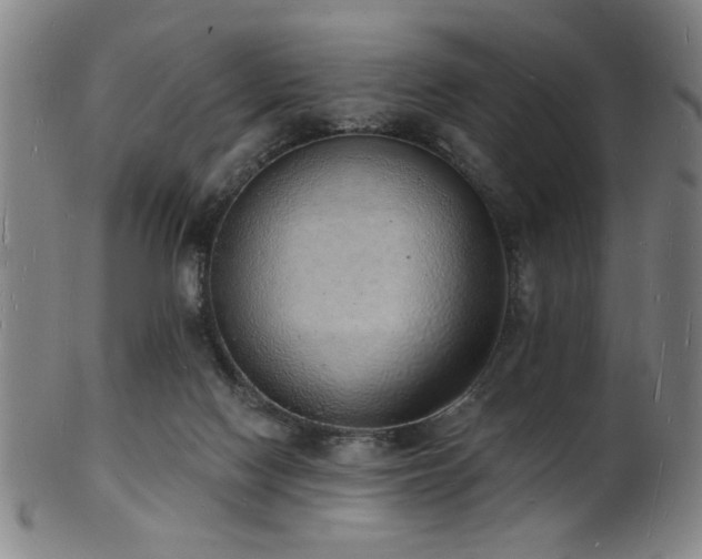 X0000101690074200807101523