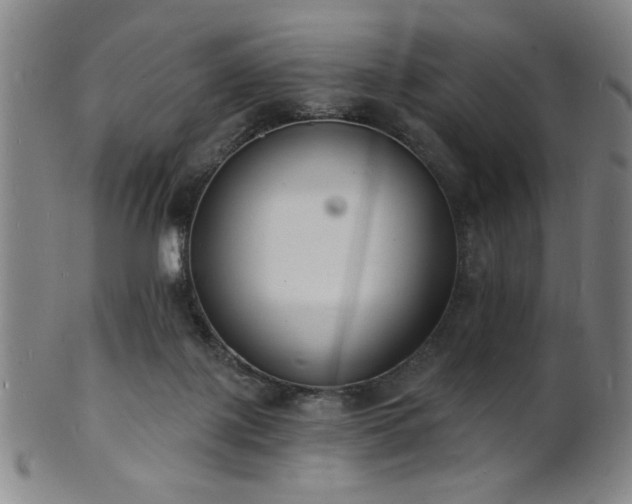 X0000101690075200807101523