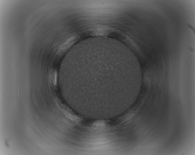 X0000101690076200807101523