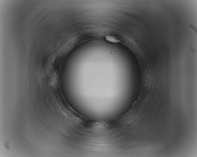 X0000101690077200807101523