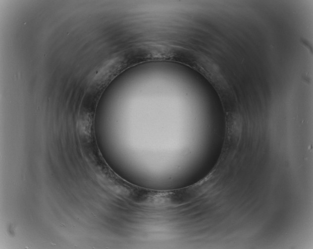 X0000101690078200807101523