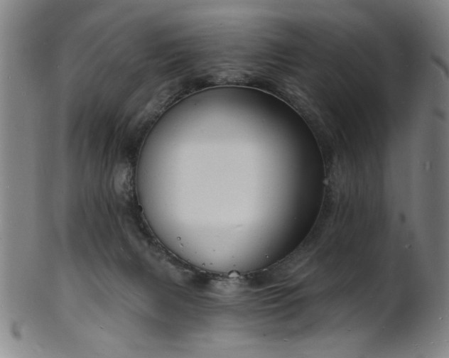 X0000101690079200807101523