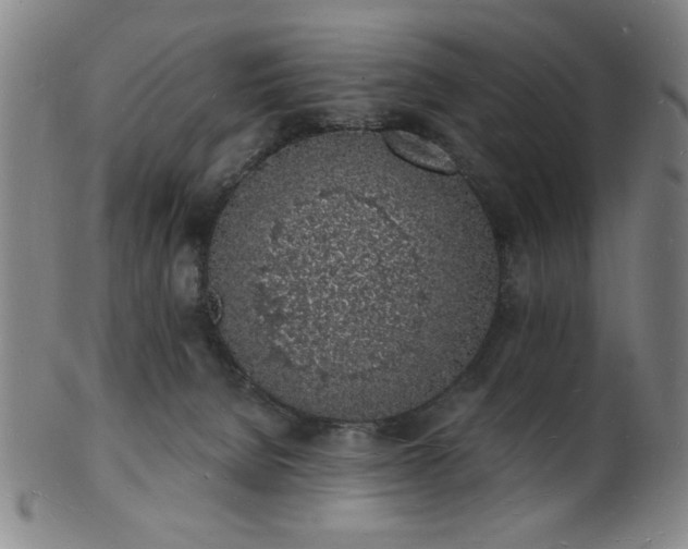 X0000101690080200807101523