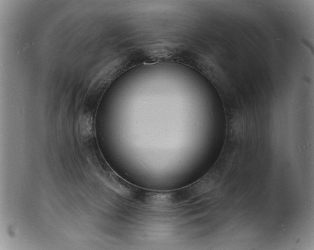 X0000101690081200807101523