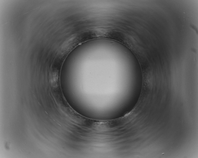 X0000101690082200807101523