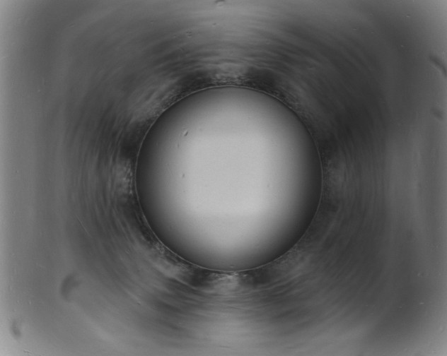 X0000101690083200807101523