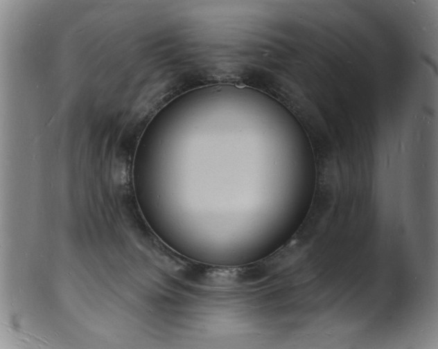 X0000101690084200807101523