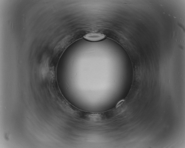 X0000101690085200807101523