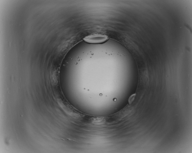 X0000101690088200807101523