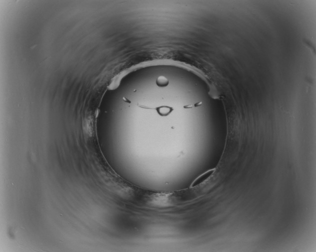 X0000101690090200807101523