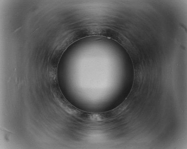 X0000101690091200807101523