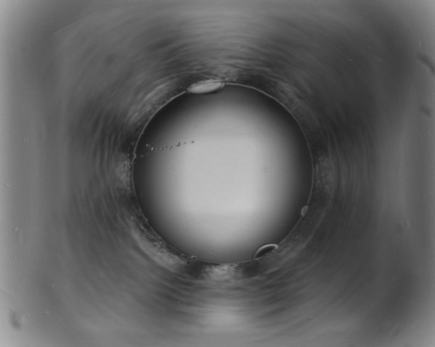 X0000101690092200807101523