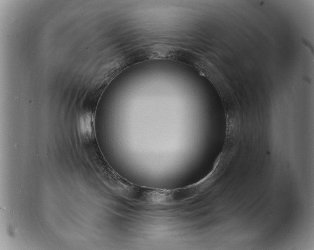 X0000101690094200807101523