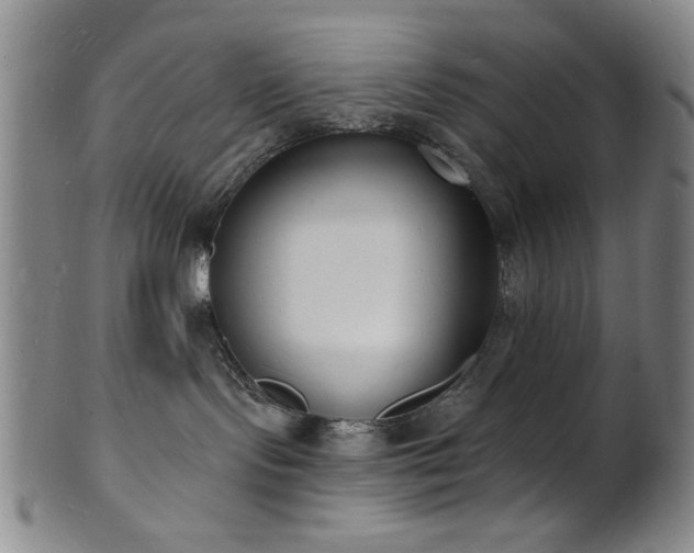 X0000101690095200807101523