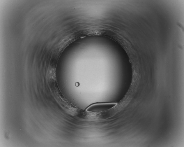 X0000101690096200807101523