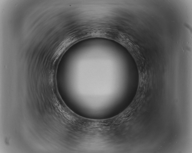 X0000101690098200807101522